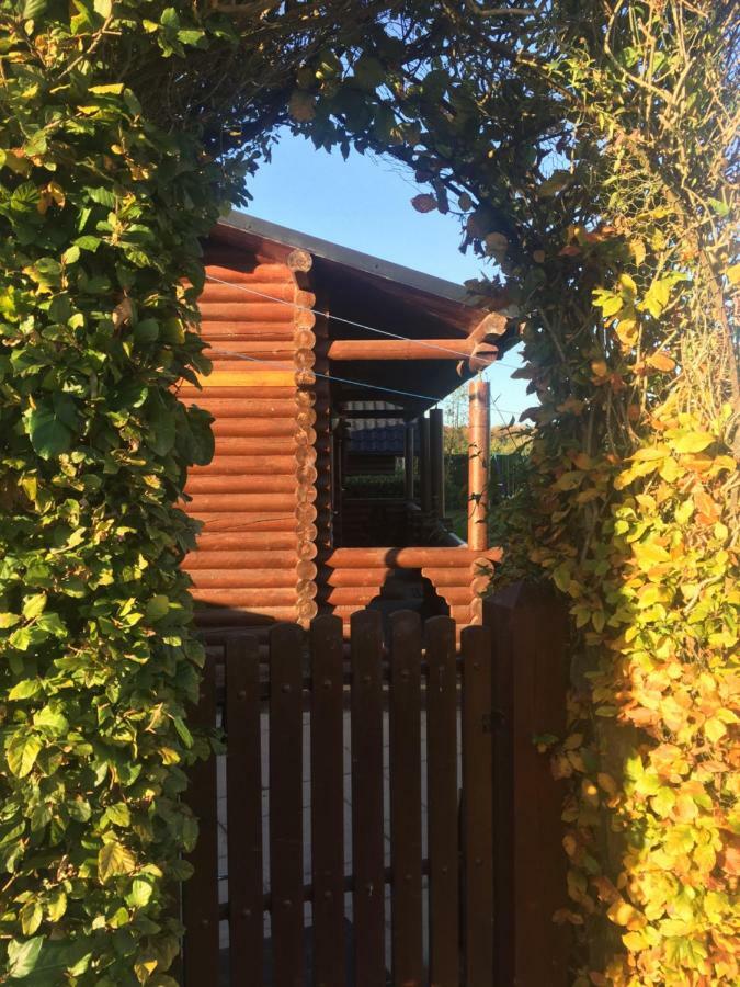 Cosy Countryside Log Cabin Kilkenny Exterior photo